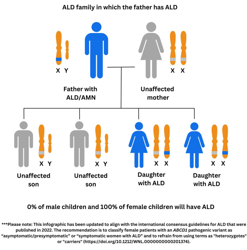 ald inheritability 1 mother